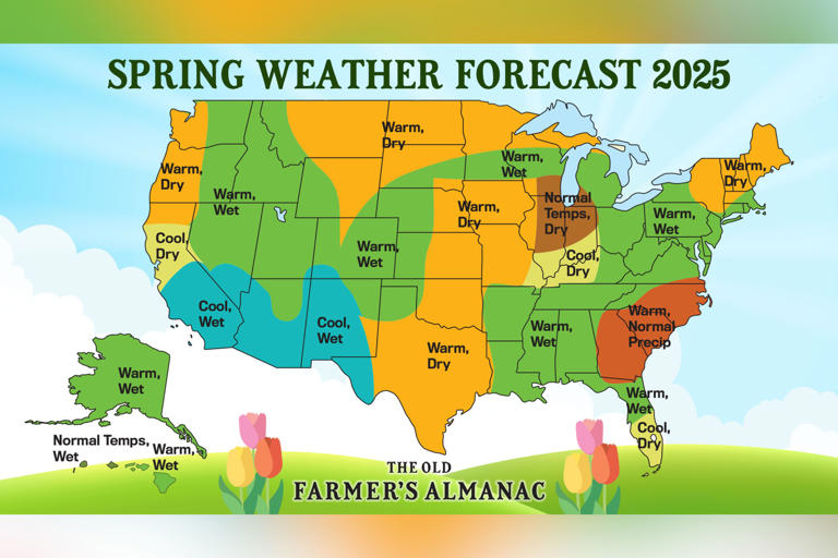 Spring 2025 forecast